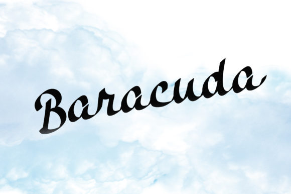 Baracuda: A Bold Script Handwritten Font for Crafters and Sellers