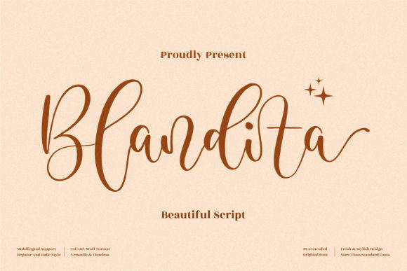 How Blandita Font Elevates Small Business Branding with Elegant Typography