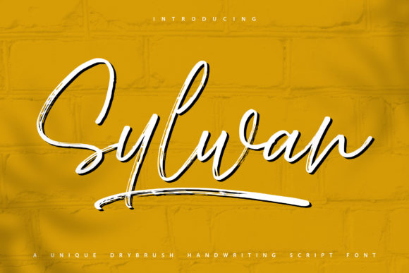 How Sylwan Font Transformed My Small Business Branding