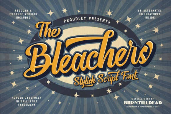 Using The Bleachers Font to Elevate a Coaching Website’s Visual Identity
