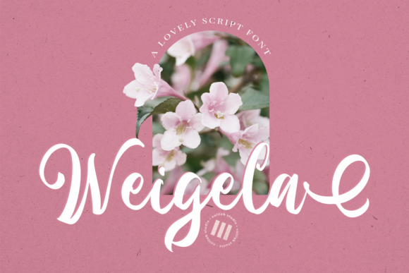 Weigela: A Delicate Cursive Font for Elegant Editorial Design