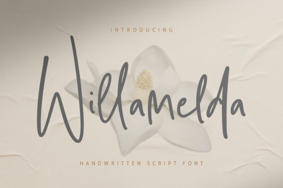 Willamelda: A Quirky Handwritten Font That Brings Personality to Branding