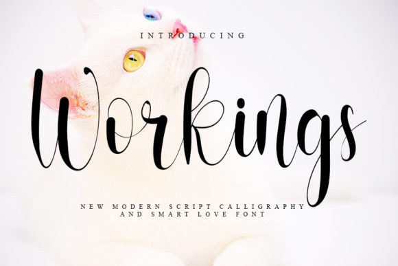 Workings: A Cursive Handwritten Font for Branding and Business Design